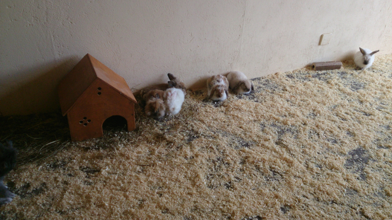 Поездка в Экзотик-парк