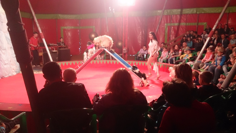 Поездка в Экзотик-парк