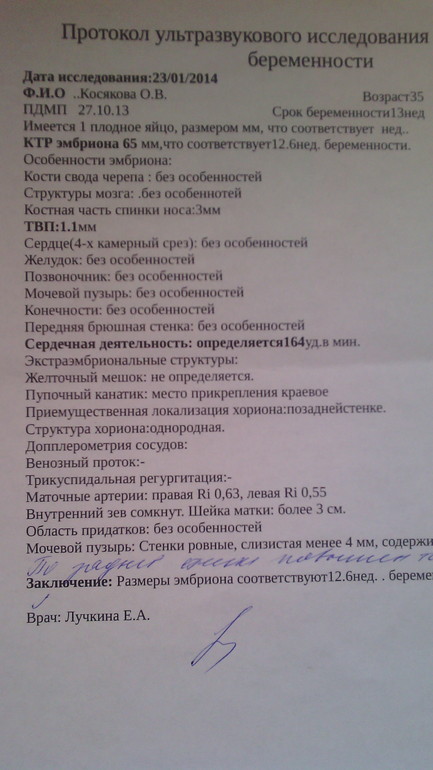 Первый скрининг