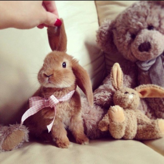 Предновогоднее...