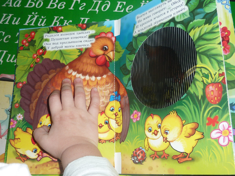 День 3. Курица и цыпленок.