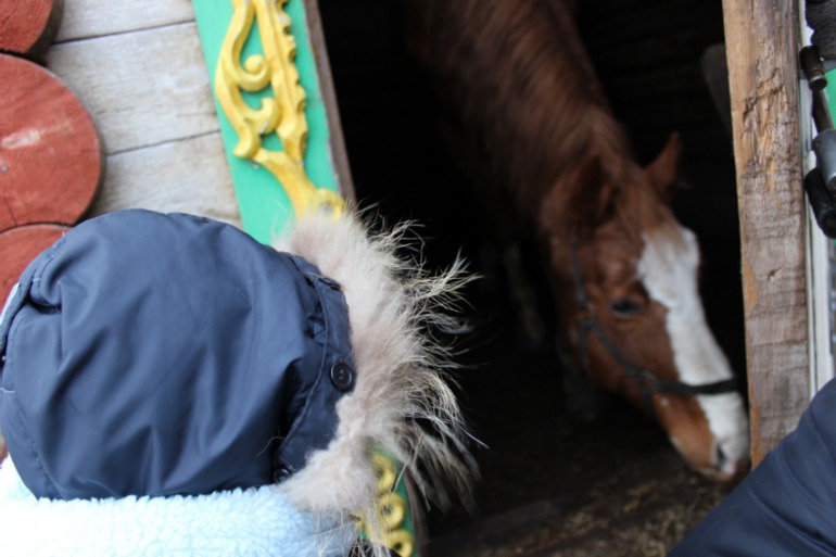 Поездка с классом в Дмитровку )  и школьная