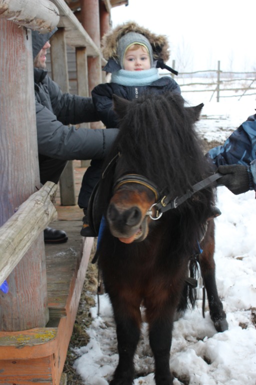 Поездка с классом в Дмитровку )  и школьная