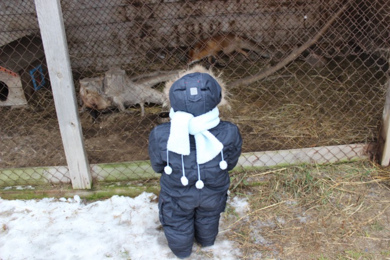 Поездка с классом в Дмитровку )  и школьная