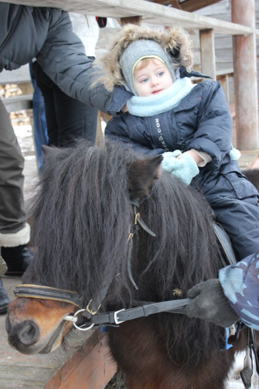 Поездка с классом в Дмитровку )  и школьная