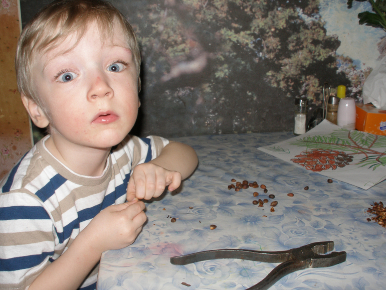 ТН " Деревья". Дни 3,4,5.