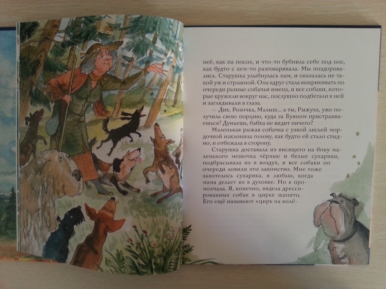 Шуркины рассказы