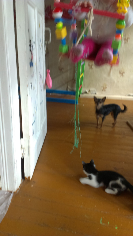 не ну эта наглость