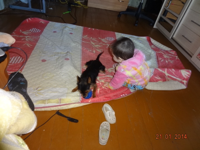 а моя крошка нашла себе новую игру