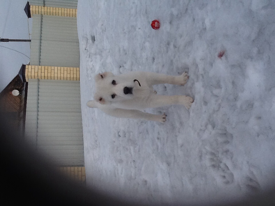 Мы подросли