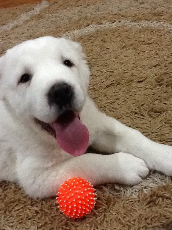 У нас появился малыш