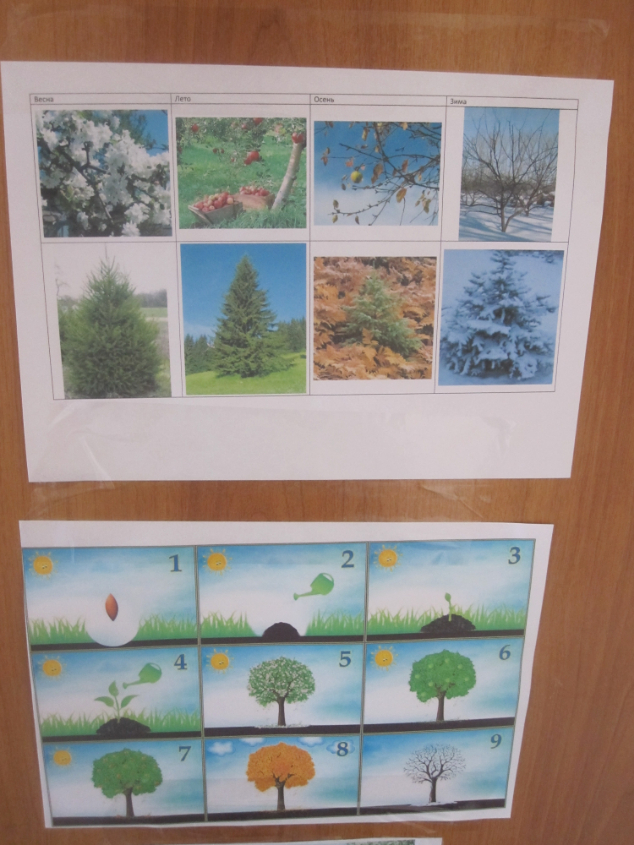 ТН "Деревья"