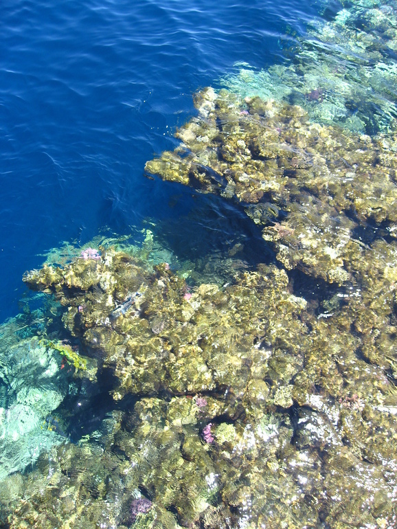 ТН Море - Подготовка