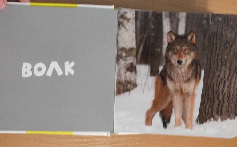 Фото-книги от Клевера