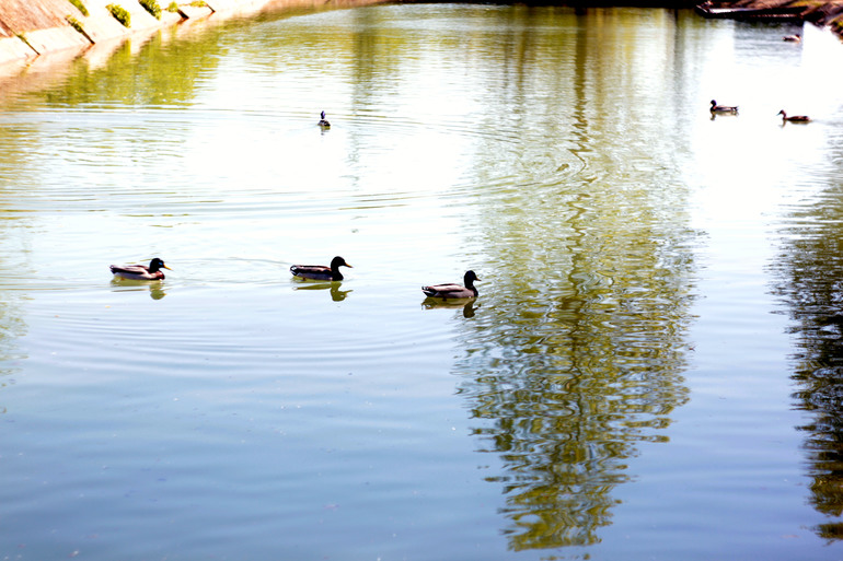 КЗ № 5. "Корректируем тона при помощи уровней"