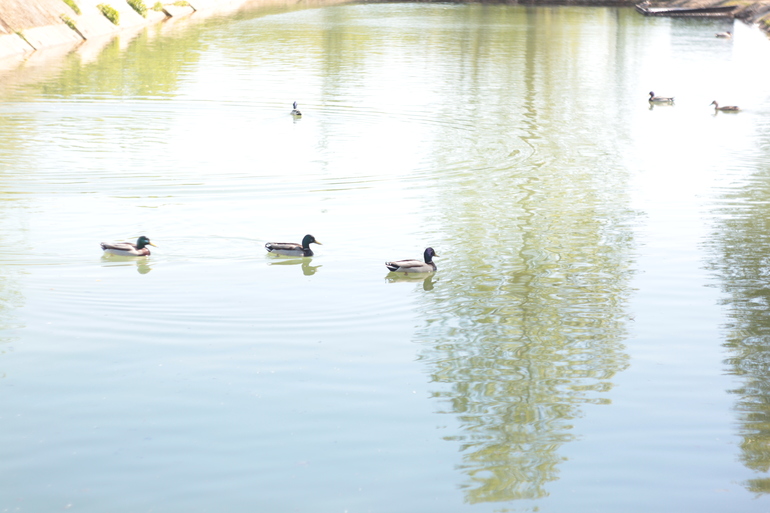 КЗ № 5. "Корректируем тона при помощи уровней"