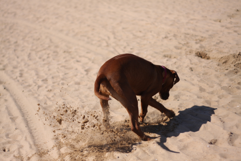 а мы купались