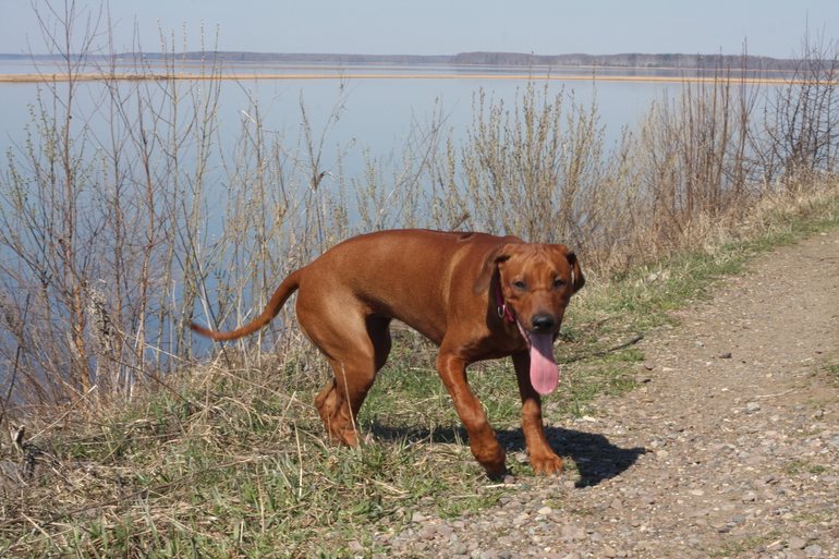 а мы купались