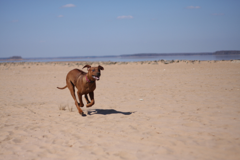 а мы купались
