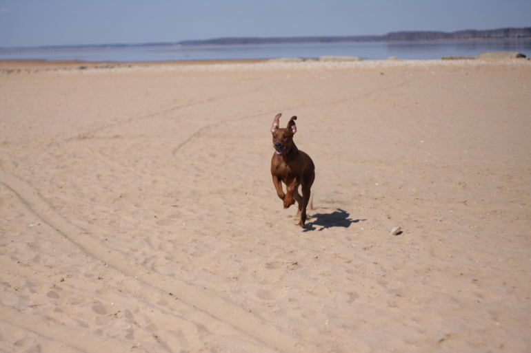 а мы купались