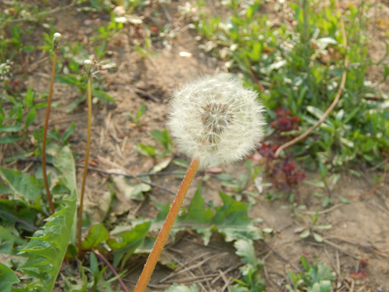 Прогулочный вечер