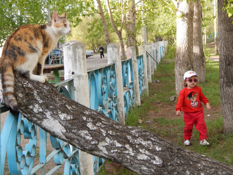 Прогулочный вечер