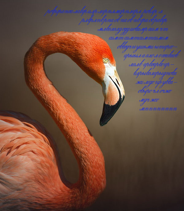 Контрольное задание № 15. Территория текст