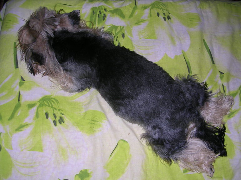 Кася стала мамой)))