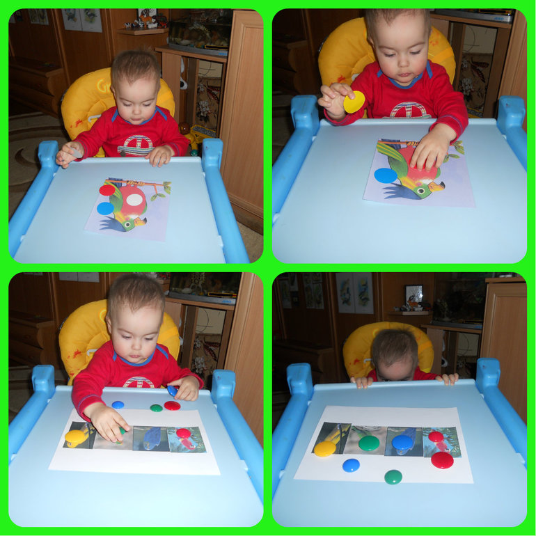 Деньки сов, дятлов и попугаев)))