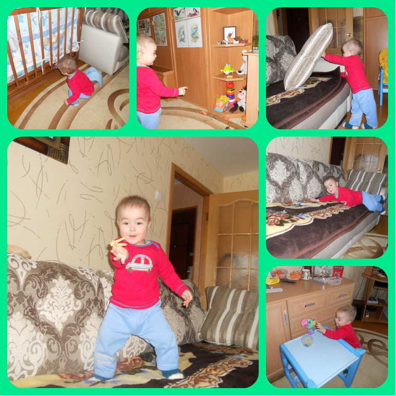 Деньки сов, дятлов и попугаев)))