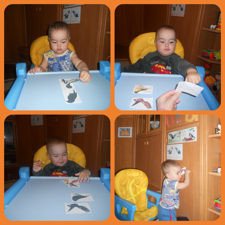Второй птичий денек....