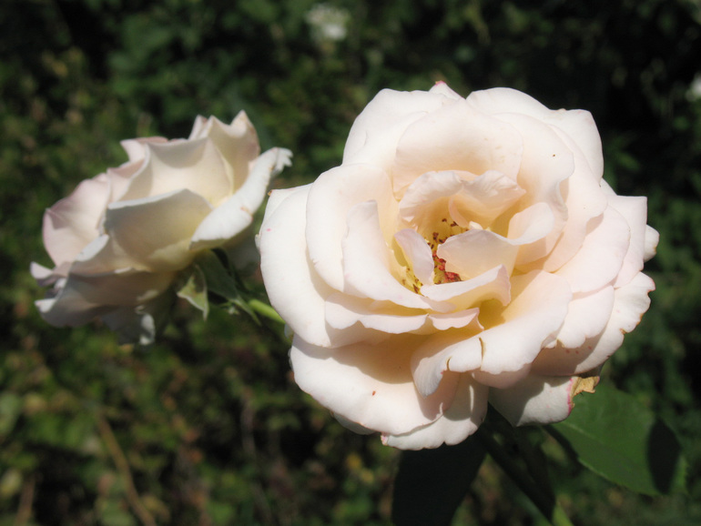 Контрольное задание № 34. Светящееся фото