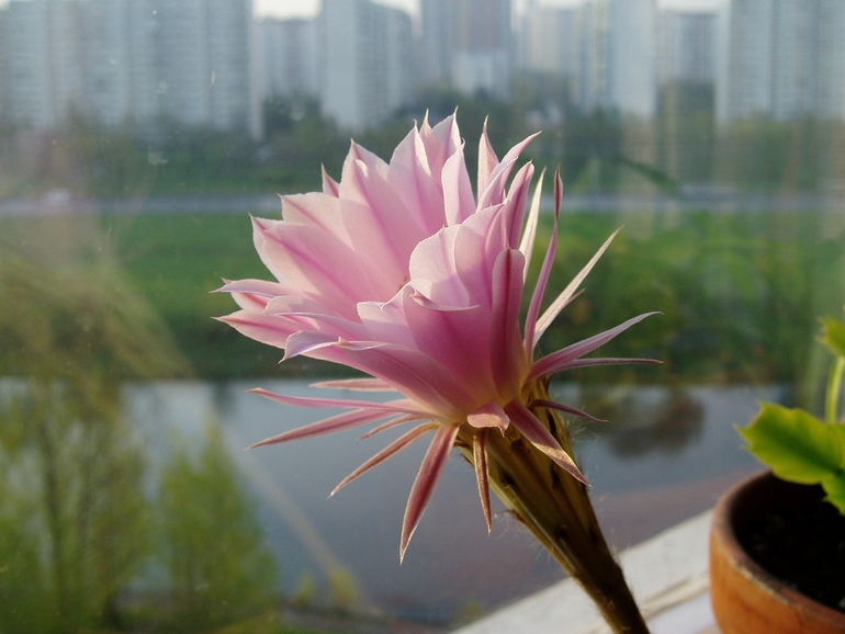 Контрольное задание № 15. "Территория текст"