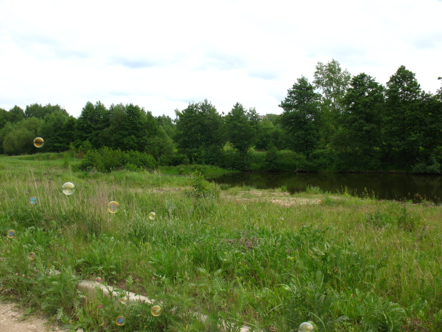 Контрольное задание № 31. Придание цветности изображению