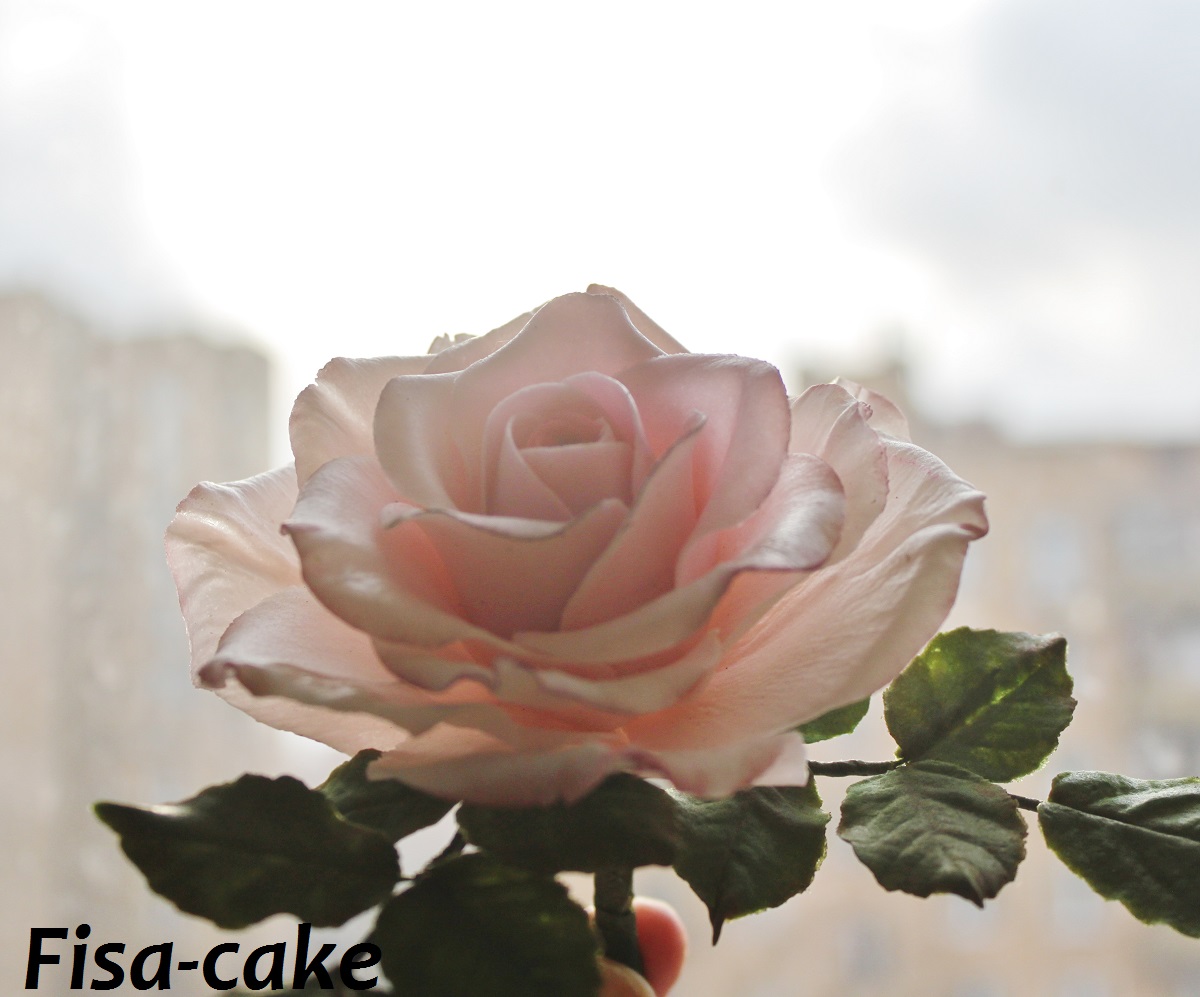 Розка.... первая)