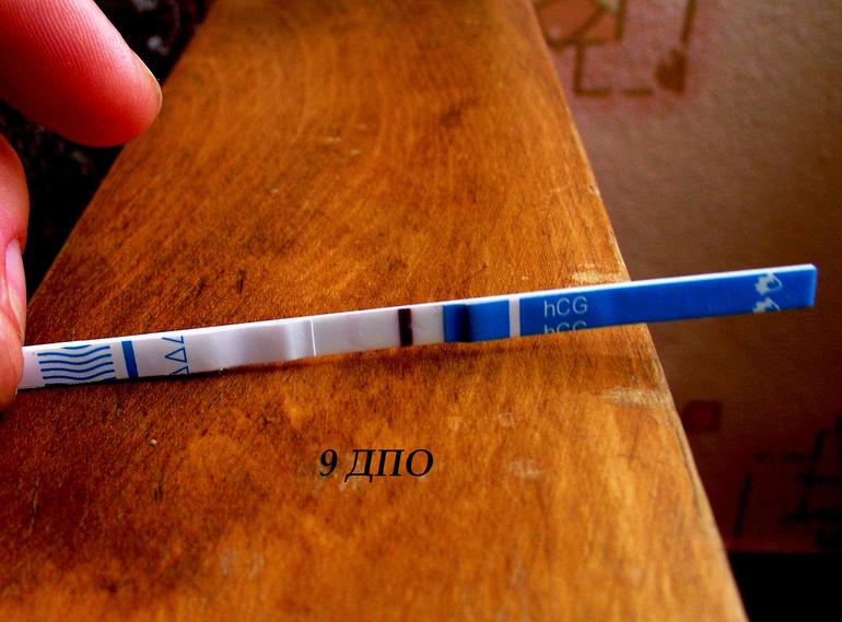 Тестомания)