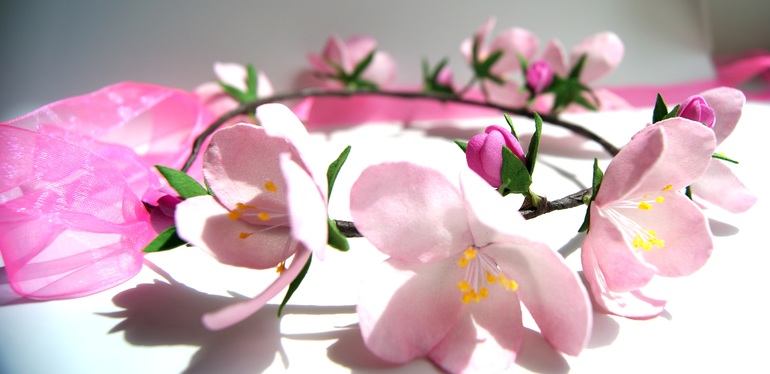 Что пошилось