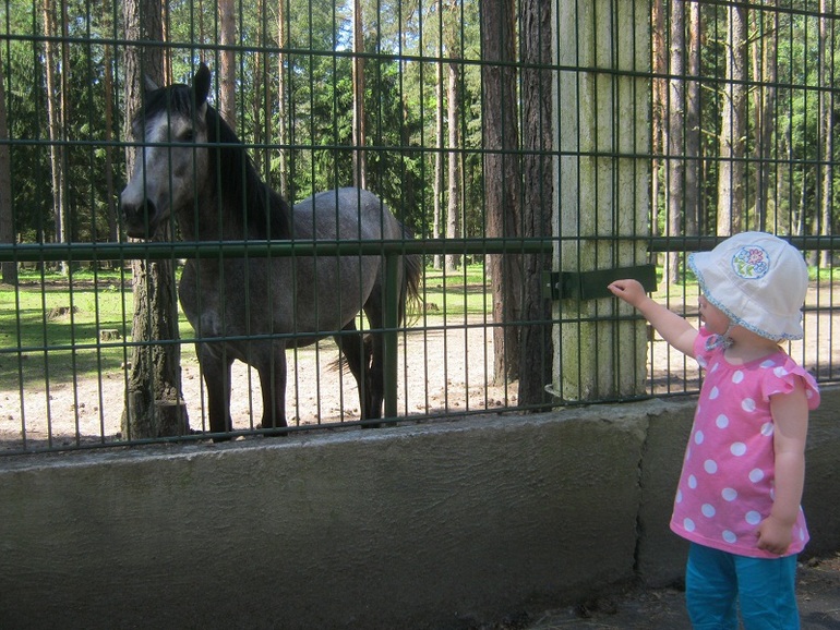 Седьмая (18-я) неделя у Бабушки с Дедушкой