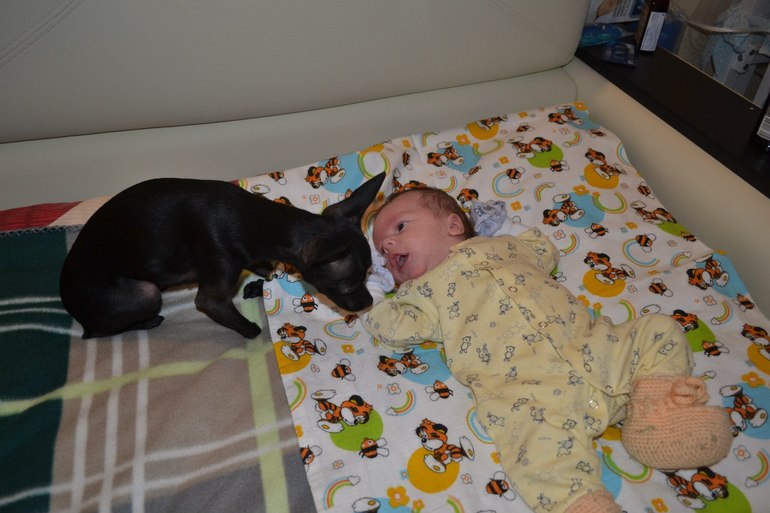 Мои тойчики :)