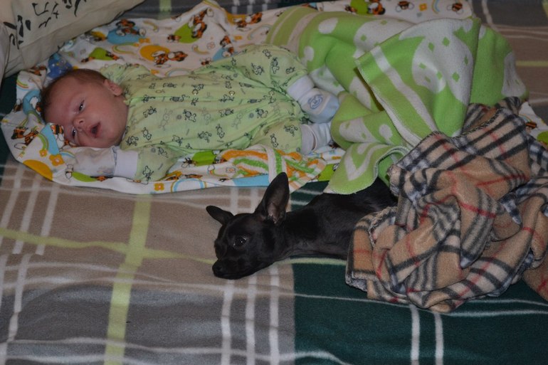 Мои тойчики :)