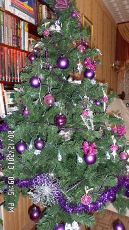 Нарядили елку - скоро Новый год!