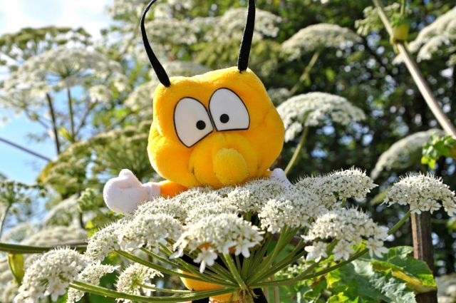 Лето в деревне Старая Слобода))))!!