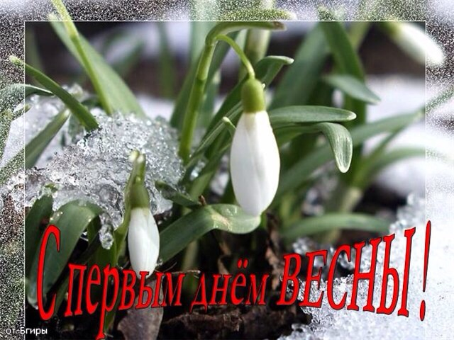С первым днём Весны всех !!!!!!!