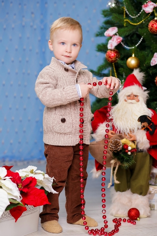 Наша новогодняя фотосессия )