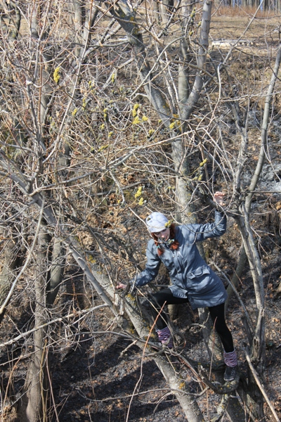 Когда у папы выходной, а на улице хорошая погода)