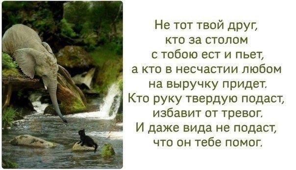 Слова-банальщина, но картинка понравилась :)