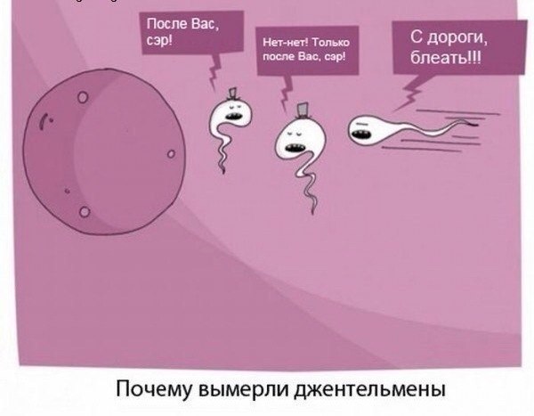 Мужчины шутят