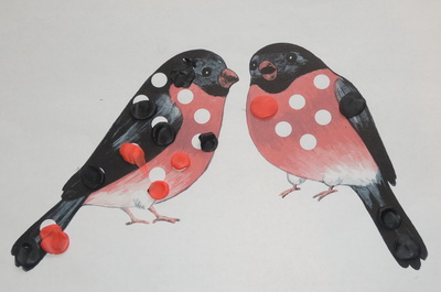 ТН №17 Птицы. 1 год 6 месяцев