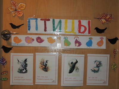 ТН №17 Птицы. 1 год 6 месяцев