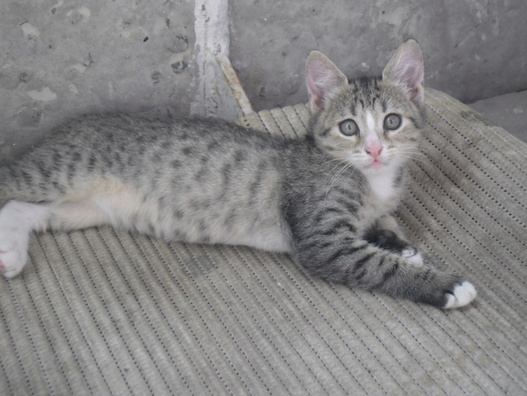 привела соперницу сама